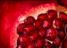 Granatapfel Detail 1